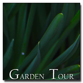 Garden Tour