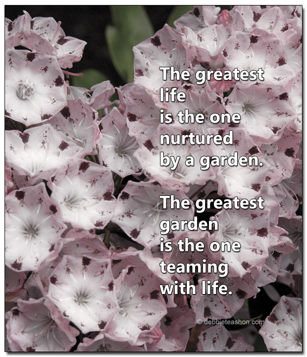 Garden quote