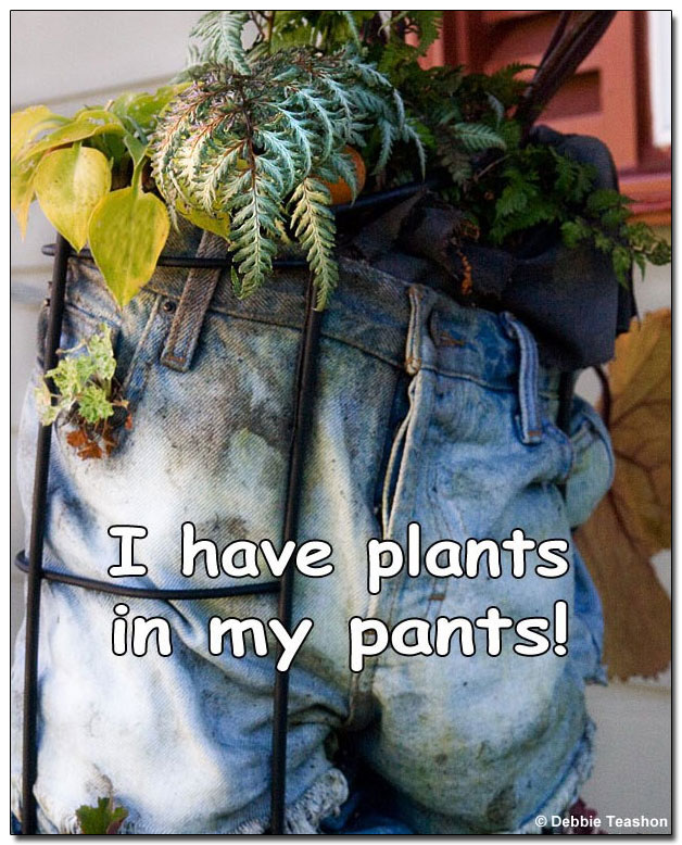 Plants in pants