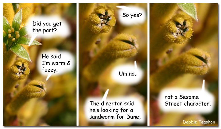 Dune vs Sesame Street