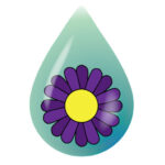 Flower drop