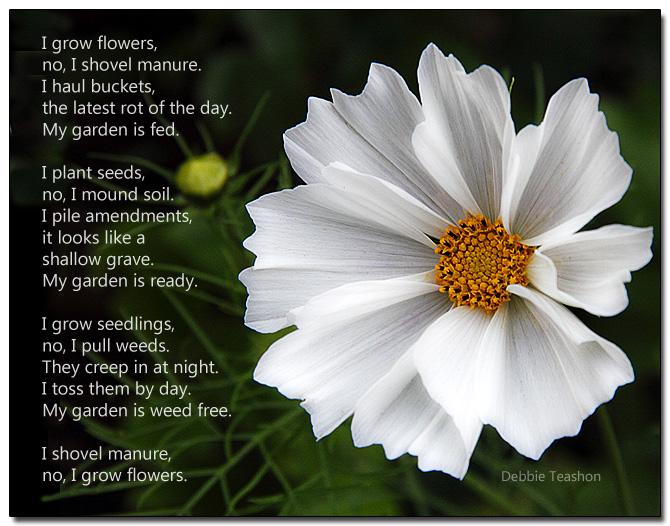 Poem - I grow flowers