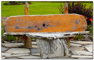 Driftwood bench