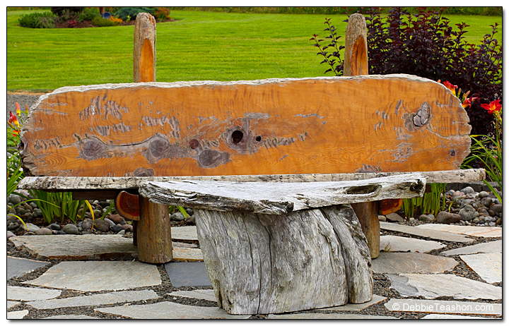 Driftwood bench