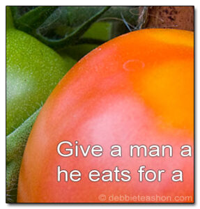 Teach Tomato