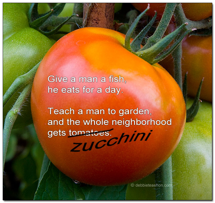 Teach Tomato