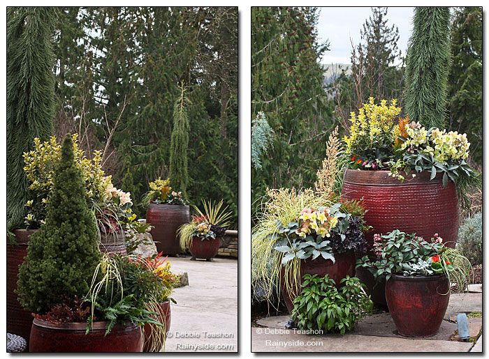 Winter Containers