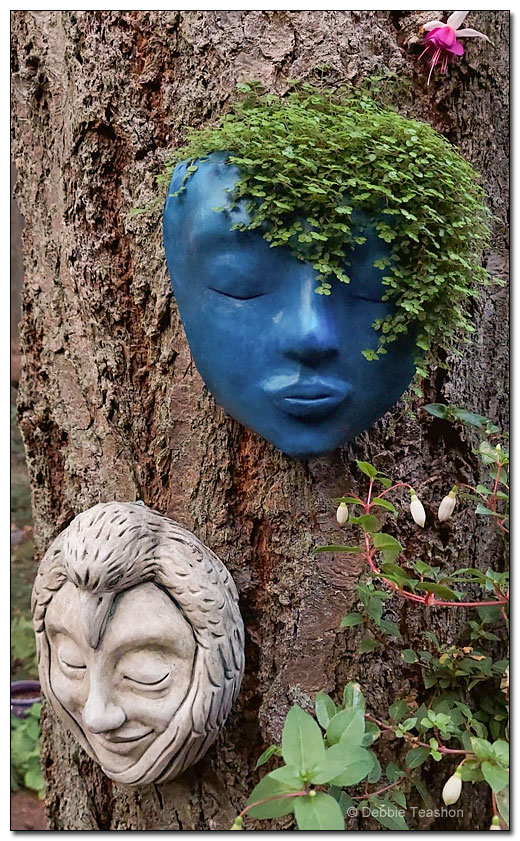 Faces in the tree