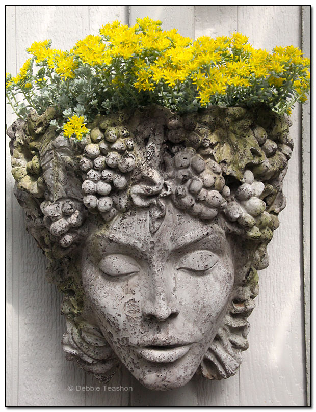 Aphrodite head pot