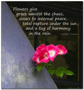 Flowers Give