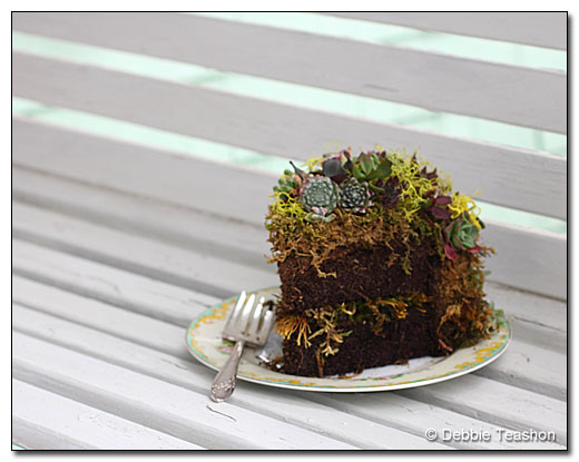 Moss cake