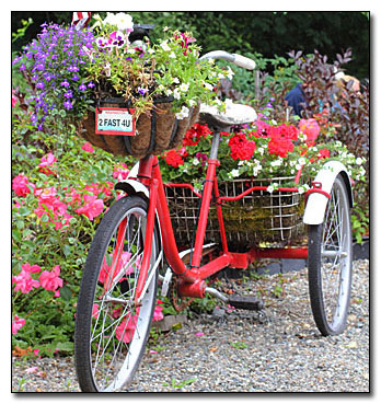 Tricycle built for flowers