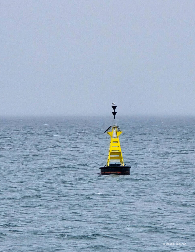 Buoy