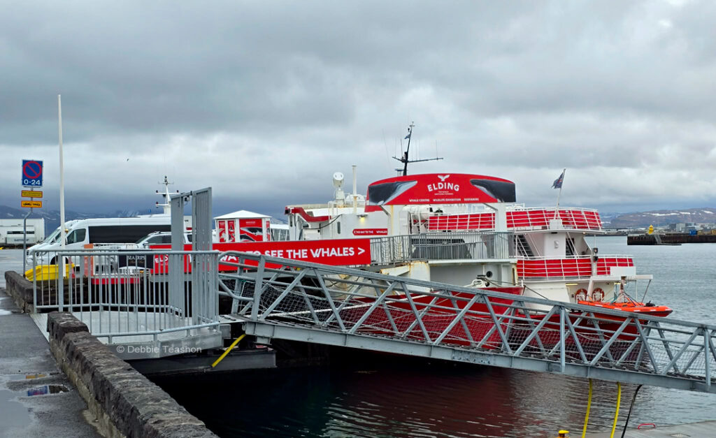 Elding Whale Watching Boat