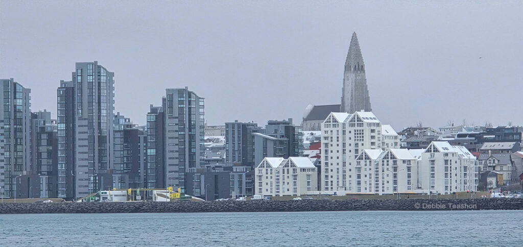 Reykjavik Skyline