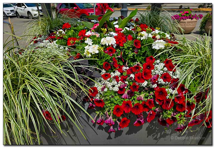 Flower Box