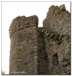 Killiane Castle