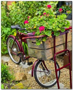 Bicycle with flower box
