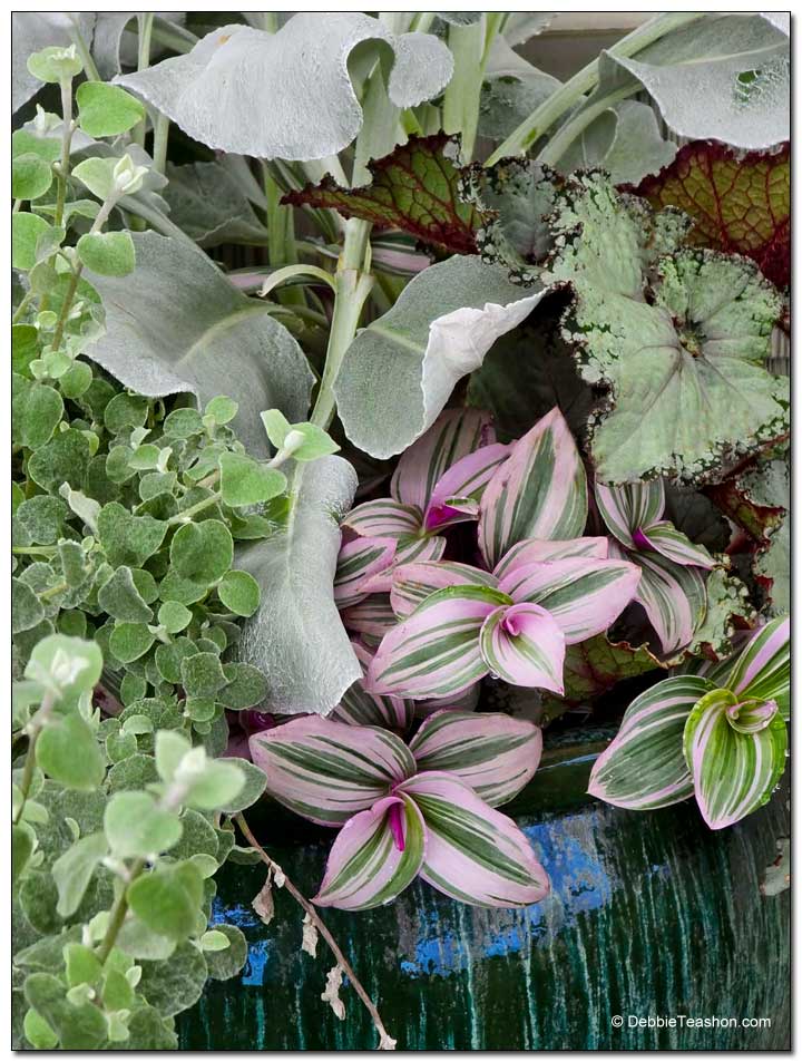 White and pastel container