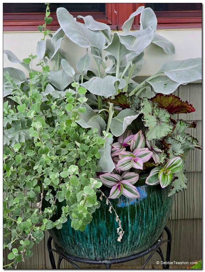 White and pastel container