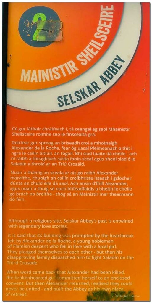 Selskar Abbey Signs