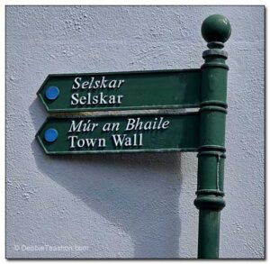 Selskar Sign